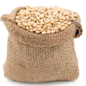 Sorghum Seed